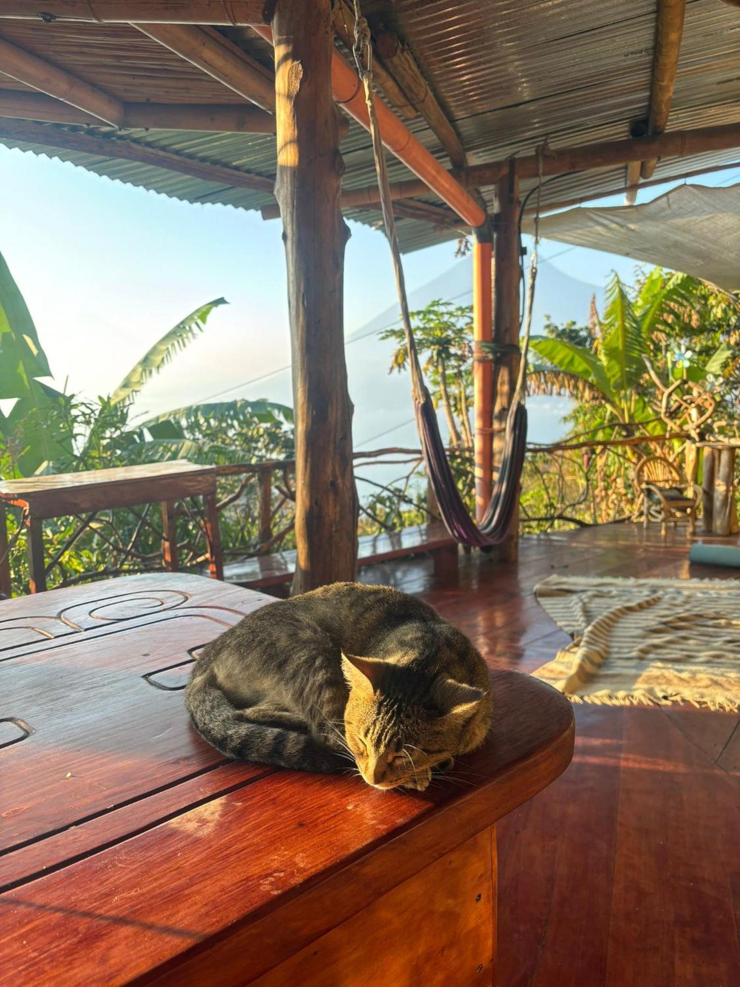 Earthship Atitlan ξενώνας San Marcos La Laguna Εξωτερικό φωτογραφία